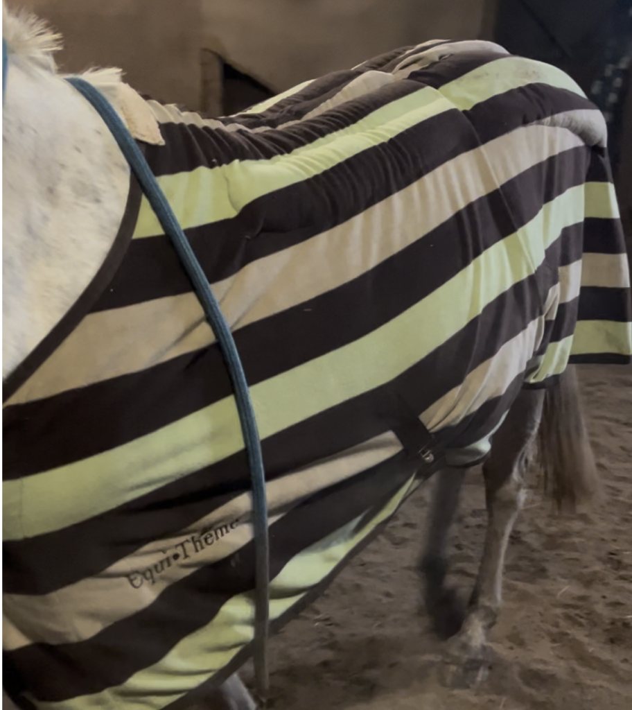 Dinkelspelz Rückenwärmer nähen