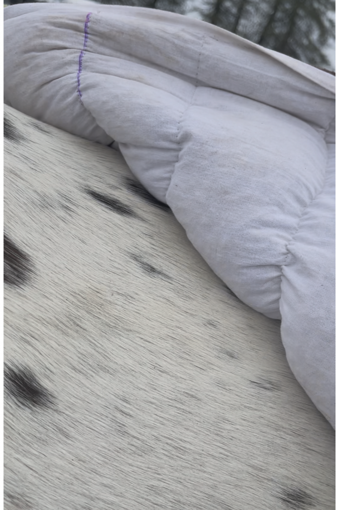 Dinkelspelz Rückenwärmer nähen