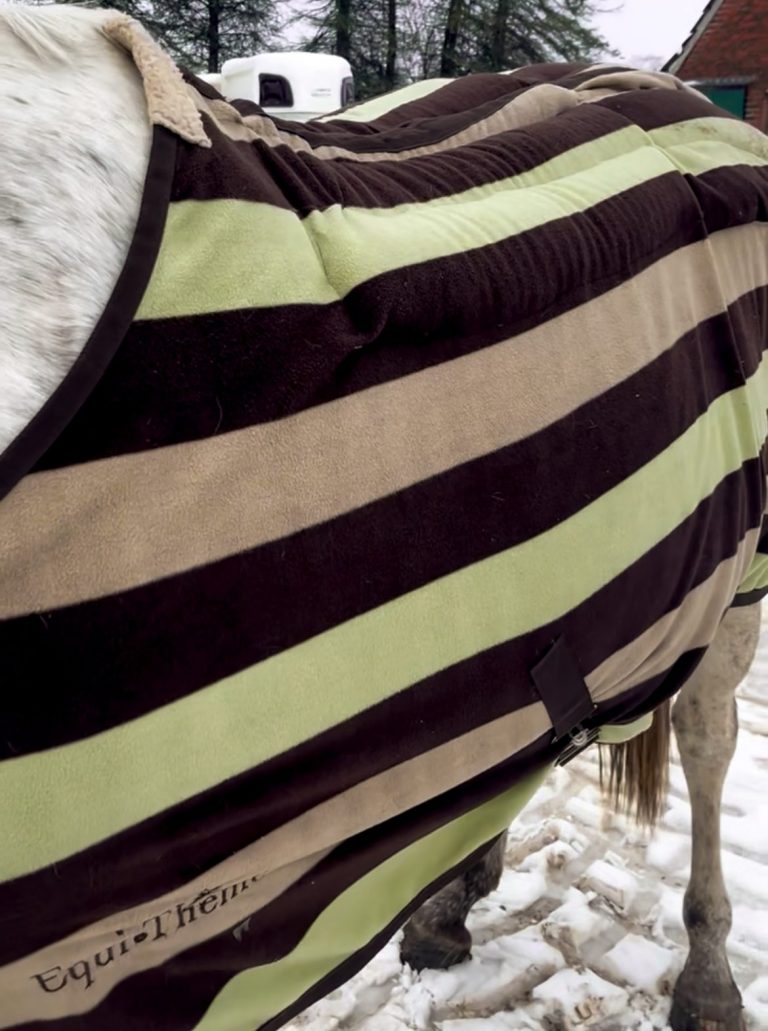 Dinkelspelz Rückenwärmer nähen