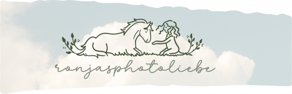 Logodesign beauftragen lassen