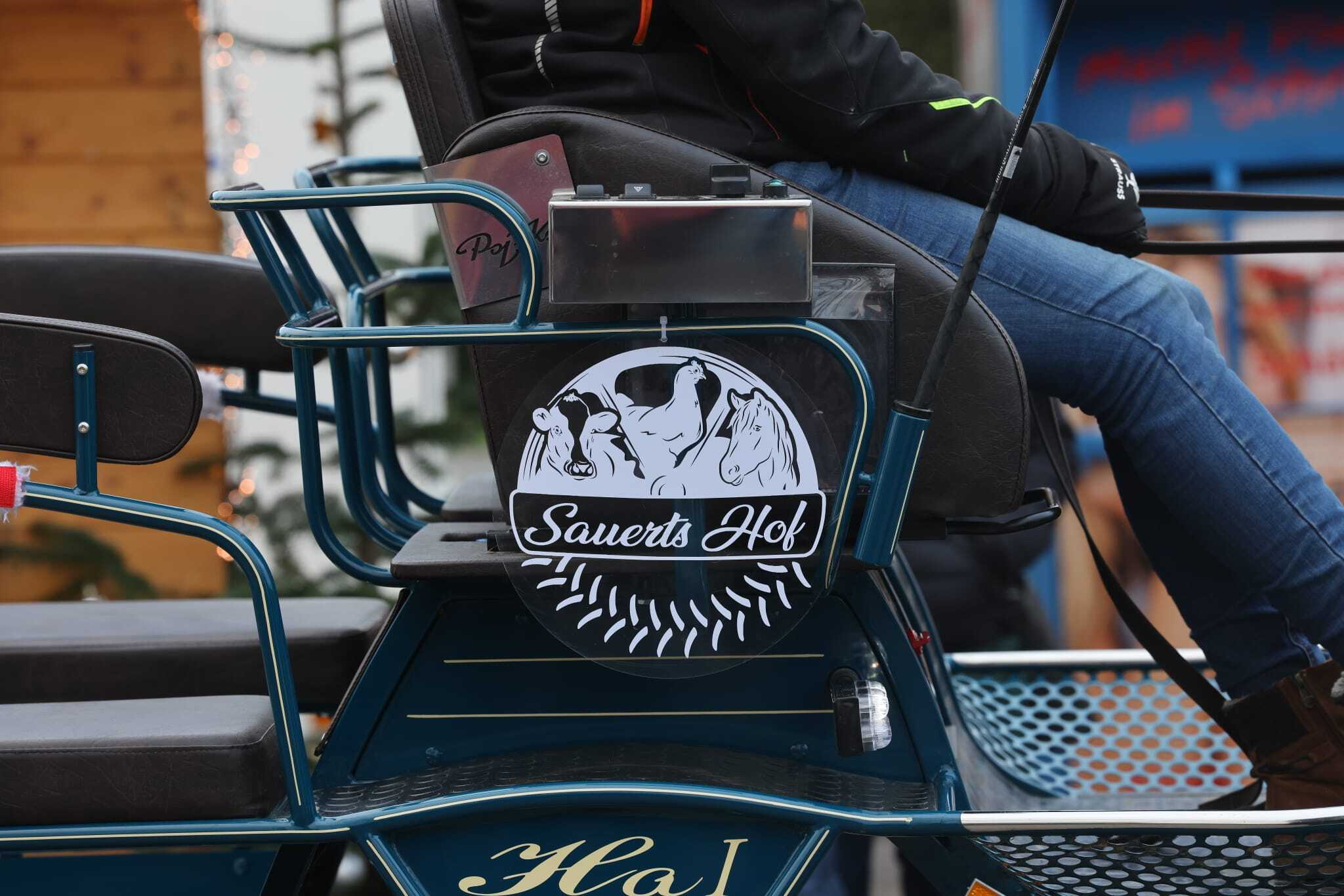 Logo Landwirtschaft Sauert's Hof auf Kutsche