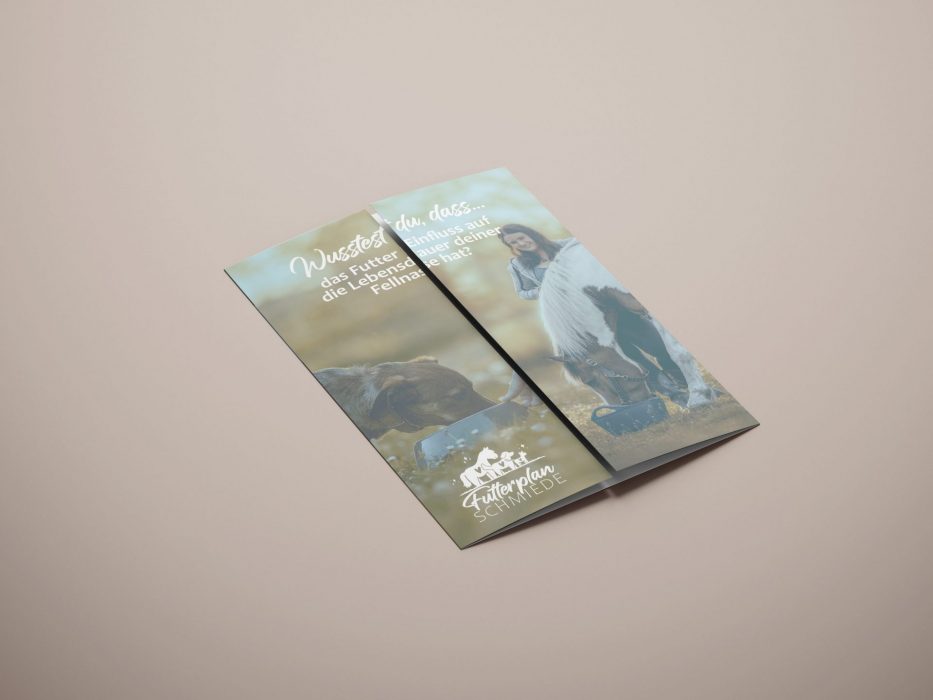 Corporate Design erstellen lassen AzaniArts | Flyer Futterplanschmiede