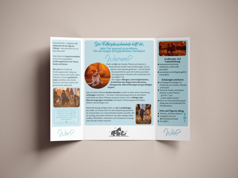 Corporate Design erstellen lassen AzaniArts | Flyer Futterplanschmiede