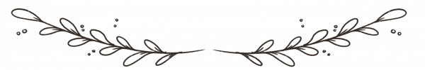 Trenner_Webseite